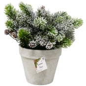 Wholesale - Seasonal Floral in Pot, UPC: 651961786306